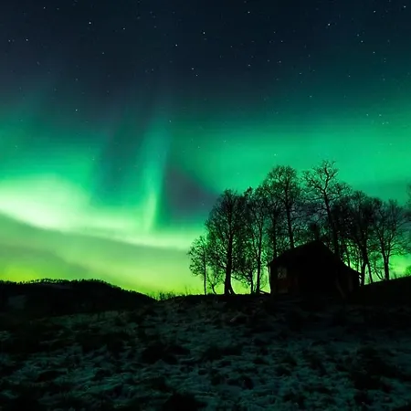Апартаменты Harstad, Seasons *
