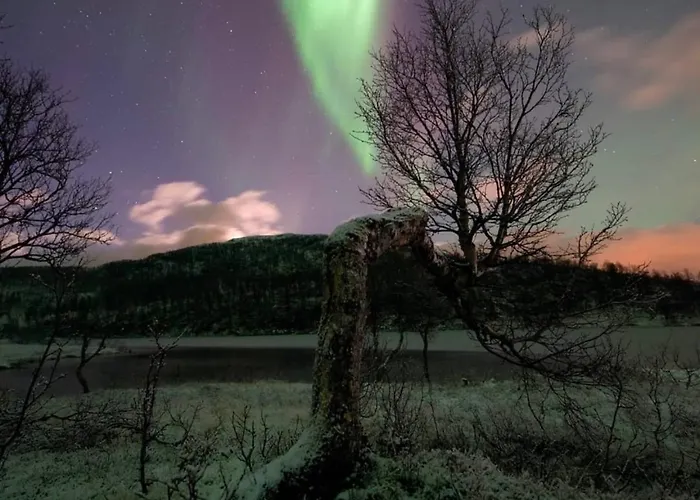 Harstad, Seasons * Harstad