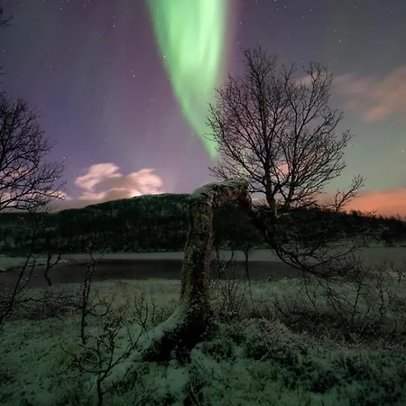 Harstad, Seasons * Harstad