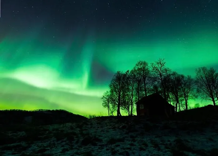 Leilighet Harstad, Seasons *